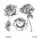 Tampon CLEAR N°6 - Roses