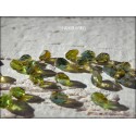 25 Gouttes 5 x 2 mm Olivine AB