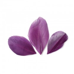 Plumes 6 cm * Violet * Sachet de 3 grammes +/- 50 plumes