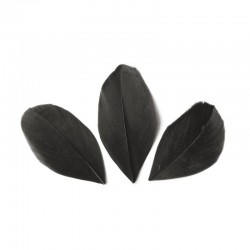 Plumes 6 cm * Noir * Sachet de 3 grammes +/- 50 plumes