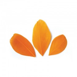 Plumes 6 cm * Orange * Sachet de 3 grammes +/- 50 plumes