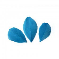 Plumes 6 cm * Bleu Turquoise * Sachet de 3 grammes +/- 50 plumes