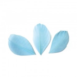 Plumes 6 cm * Bleu Clair * Sachet de 3 grammes +/- 50 plumes