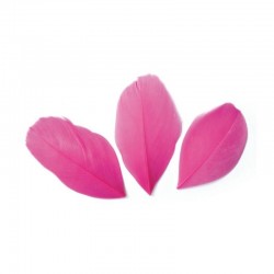 Plumes 6 cm * Rose Fuchsia * Sachet de 3 grammes +/- 50 plumes