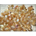 50 Facettes 4 mm ETCHED CRYSTAL BROWN RAINBOW ( 98582R )