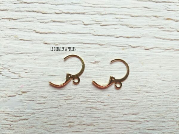 Boucles d'oreilles dormeuse 2650