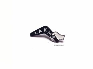 pin's karma boomerang